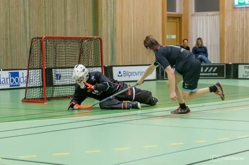 Foto: Mats Olofsson (habobild.se)