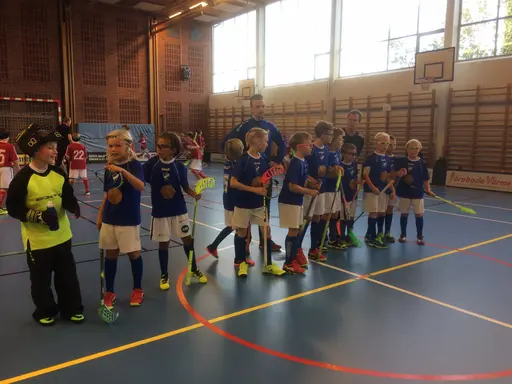 Vänerns Pärla 2016. En hellyckad dag i Mariestad!