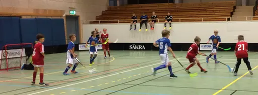 Vilket kanonsammandrag grabbarna bjöd oss på. Då får man stå ut med en och annan bonnahög.