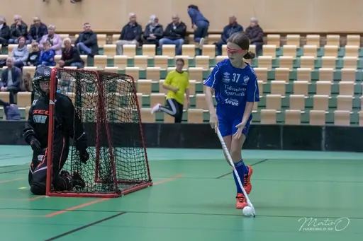 Foto: Mats Olofsson (habobild.se)