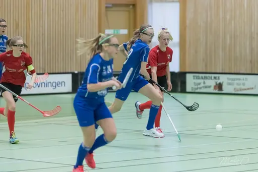Foto : Mats Olofsson (habobild.se)