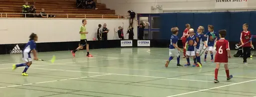 Vilket kanonsammandrag grabbarna bjöd oss på. Då får man stå ut med en och annan bonnahög.