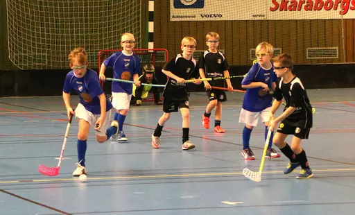 Full fart i Tibro! Här match mot Falköping.