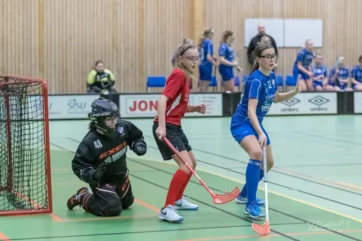 Foto : Mats Olofsson (habobild.se)
