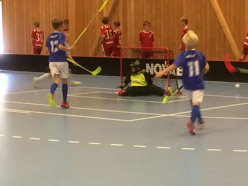Vänerns Pärla 2016. En hellyckad dag i Mariestad!