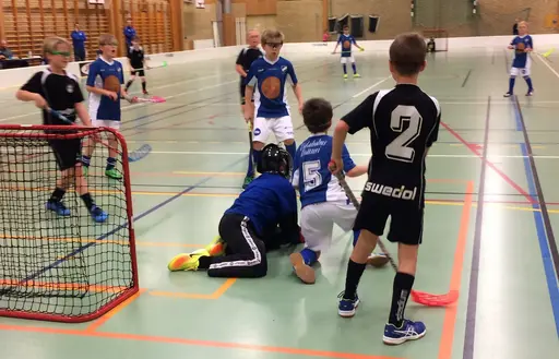 Skövdesammandraget gick ganska trögt för vår del. Men inga sura miner för det!