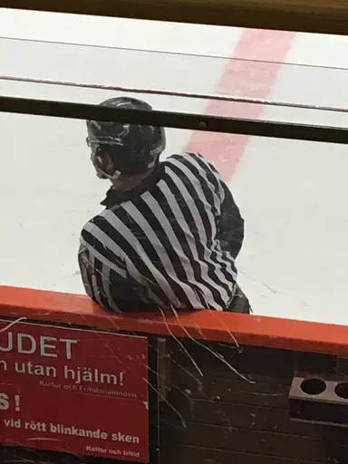 Ett extra pris delas i år ut för årets domarinsats.
