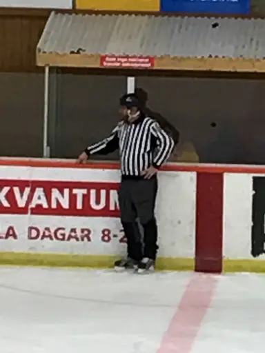 Ett extra pris delas i år ut för årets domarinsats.
