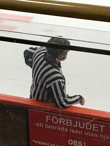 Ett extra pris delas i år ut för årets domarinsats.