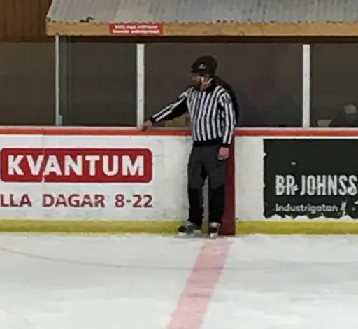 Ett extra pris delas i år ut för årets domarinsats.