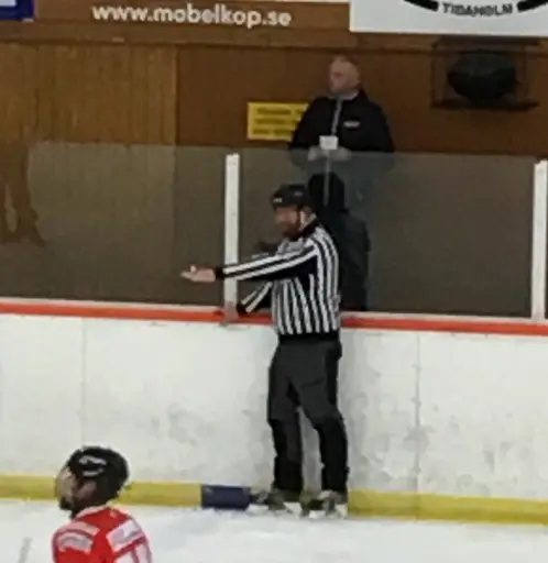 Ett extra pris delas i år ut för årets domarinsats.