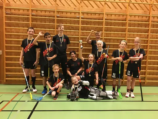Smakprov på Stars aktiviteter under hösten 2017; bland annat besök med match hos Sumpan Allstars, cup i Köping och terminsavslutning med bowling ihop med syskon och föräldrar!