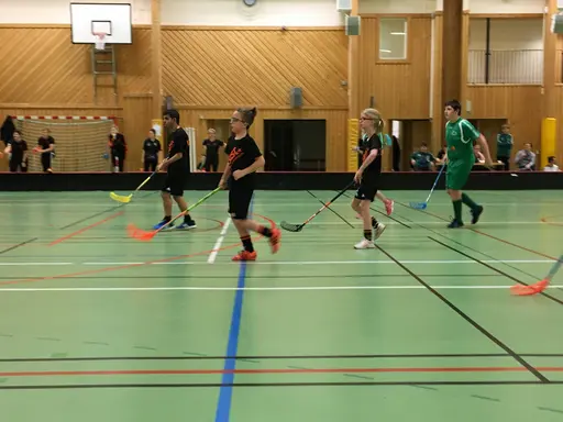 Smakprov på Stars aktiviteter under hösten 2017; bland annat besök med match hos Sumpan Allstars, cup i Köping och terminsavslutning med bowling ihop med syskon och föräldrar!