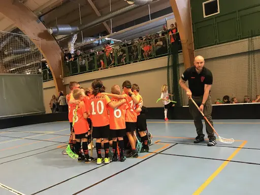 Bilderna summerar helgen i Linköping.