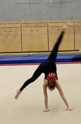 Våra fantastiska seniorer jobbade hårt för att få till ett bidrag till årets digitala uppvisning
