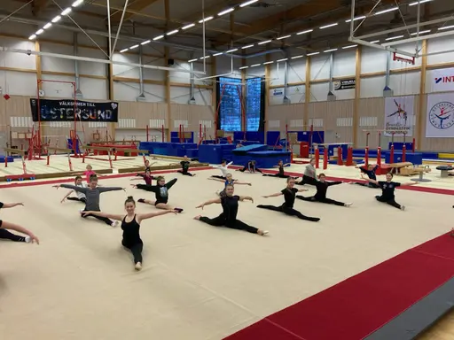 Träningsdag med senior, junior och ungdom