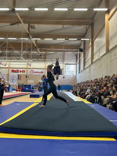Våruppvisning med alla föreningens sektioner. 