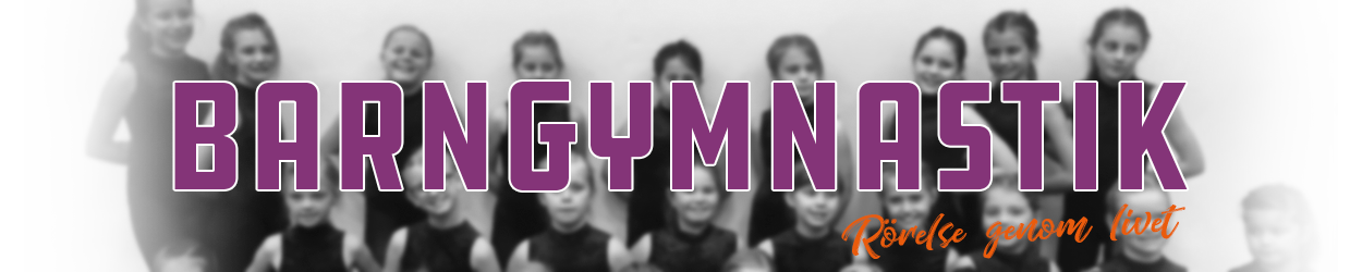Hudiksvalls Gymnastikförening