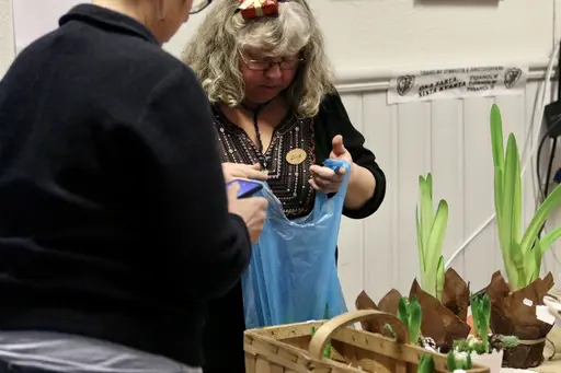 Bilder från julmarknaden på Ulvesborg i lördags.