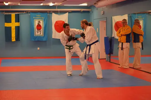 Gradering vid Söråkers Kyokushin karate. Examinator: Shihan Håkan Nygren