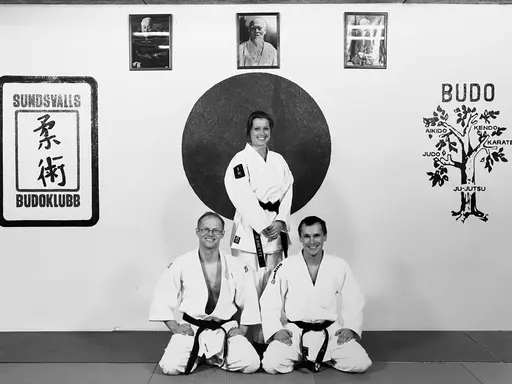 Under 90-talet tilldelades ytterligare trettionio olika dangrader. Detta är SBK:s absoluta storhetstid och vi toppar i Sverige över antalet medlemmar totalt som erhållit dangrader i ju-jutsu.