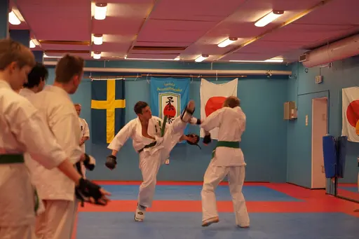 Gradering vid Söråkers Kyokushin karate. Examinator: Shihan Håkan Nygren