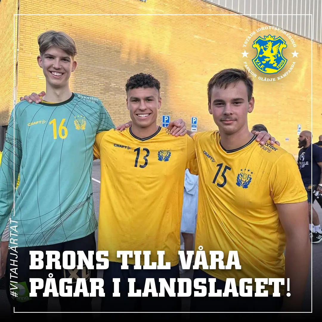 Viggo, Liam och Lowe.