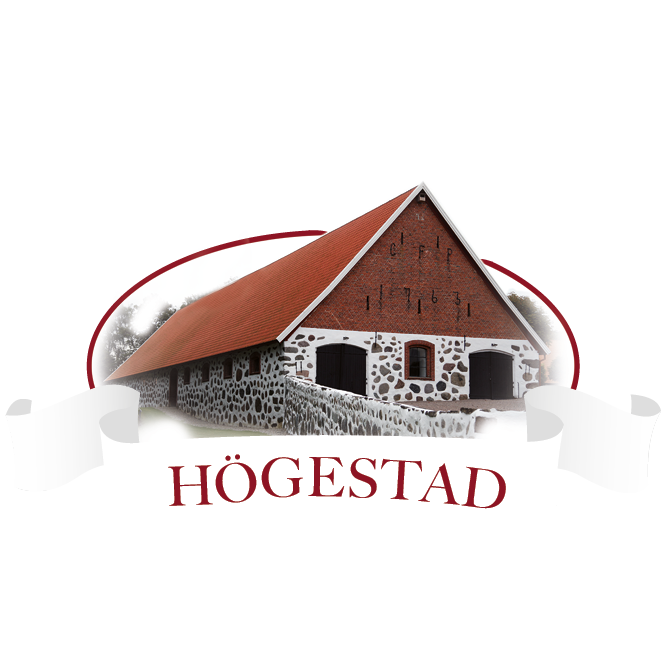 Ystads IF Handbollförening