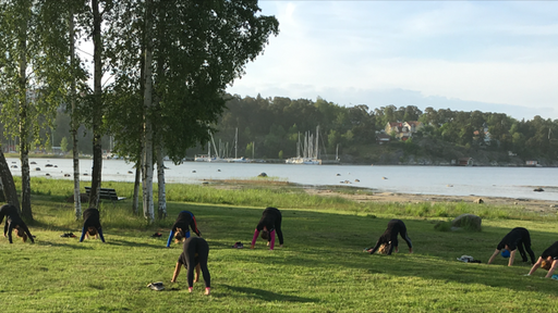 Dagens pass stod uppritat som synes med överraskning på slutet som var ett litet minipass yoga på gräset i soluppgången. Bara att kasta skorna!