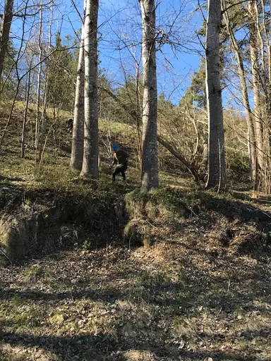 DEN Å SÅ ÄLSKADE BACKEN ÄR TILLBAKA, AVSLUTNING MED STOLEN SAMT SPURT UPP FÖR TRAPPAN