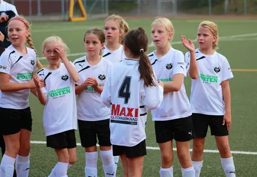 Nacka IP