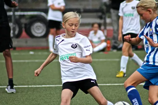 Nacka IP
