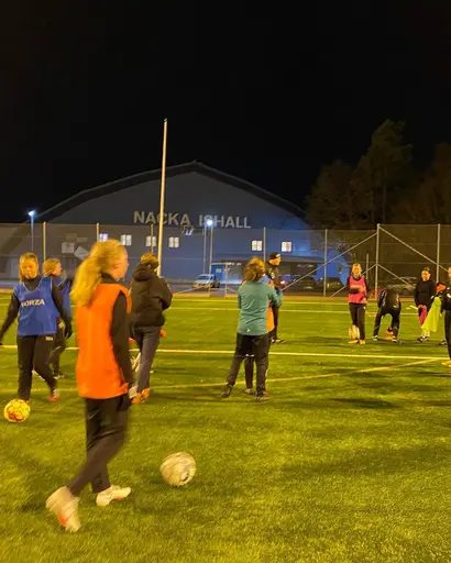 urval från träningar ute och i tältet