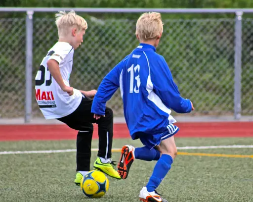 Nacka IP
