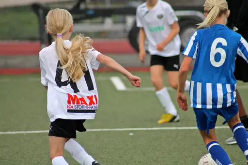 Nacka IP