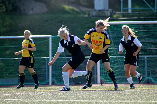 Nacka IP