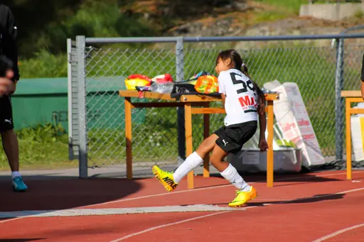 Nacka IP