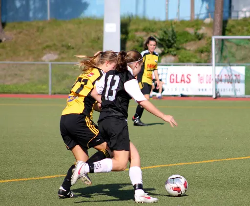 Nacka IP