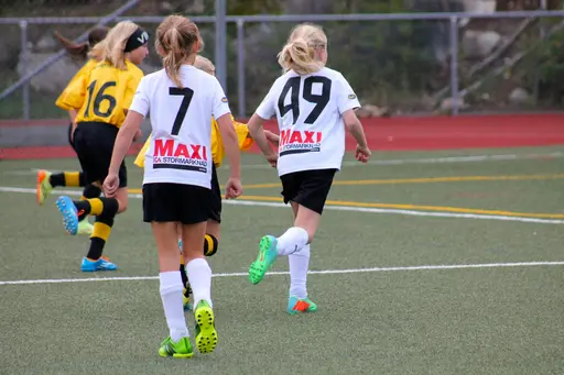 Nacka IP