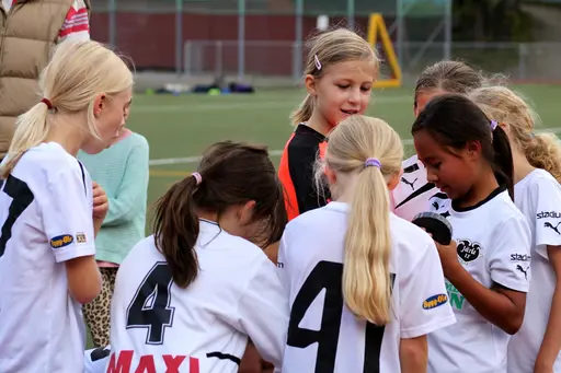 Nacka IP