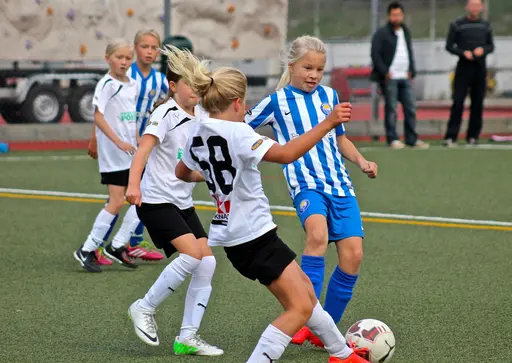 Nacka IP