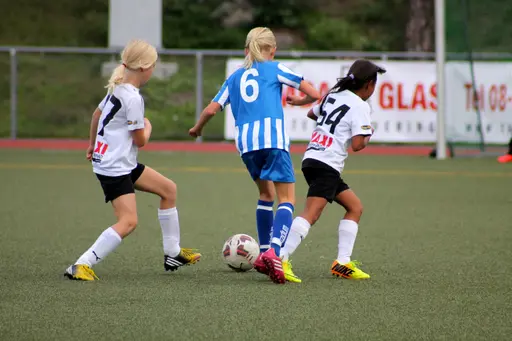 Nacka IP