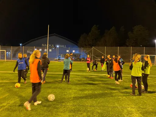 urval från träningar ute och i tältet