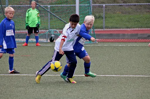 Nacka IP