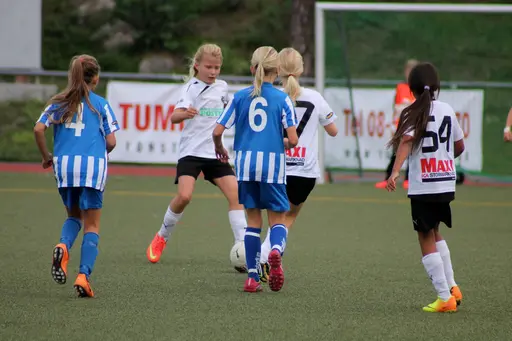 Nacka IP
