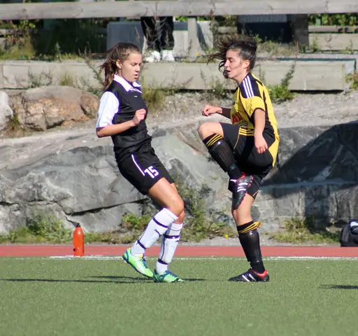 Nacka IP