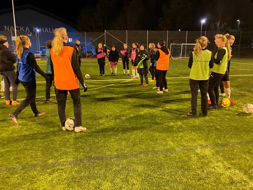 urval från träningar ute och i tältet