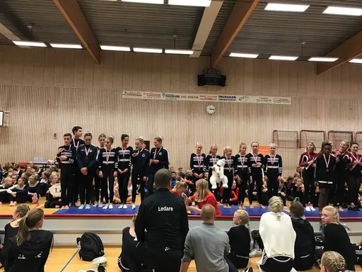 Överst vänster - GULD-LAGET i klass 4, överst höger - SILVER -och GULDLAGEN i klass 5, nedre vänster - BRONS i klass 6A och nedre högre - BRONS i klass 6B