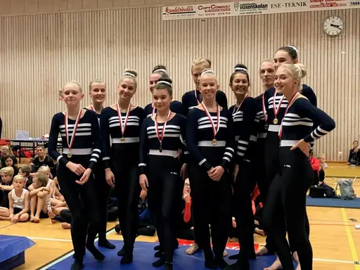 Överst vänster - GULD-LAGET i klass 4, överst höger - SILVER -och GULDLAGEN i klass 5, nedre vänster - BRONS i klass 6A och nedre högre - BRONS i klass 6B