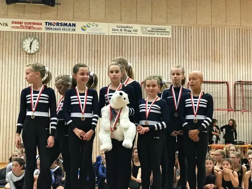 Överst vänster - GULD-LAGET i klass 4, överst höger - SILVER -och GULDLAGEN i klass 5, nedre vänster - BRONS i klass 6A och nedre högre - BRONS i klass 6B